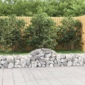 vidaXL, vidaXL Gabione mit Hochbogen 200x30x40/60 cm Verzinktes Eisen