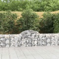 vidaXL, vidaXL Gabione mit Hochbogen 200x30x60/80 cm Verzinktes Eisen