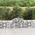 vidaXL, vidaXL Gabione mit Hochbogen 200x50x60/80 cm Verzinktes Eisen