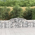 vidaXL, vidaXL Gabione mit Hochbogen 300x30x60/80 cm Verzinktes Eisen
