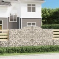 vidaXL, vidaXL Gabione mit Hochbogen 300x50x140/160 cm Verzinktes Eisen