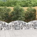 vidaXL, vidaXL Gabione mit Hochbogen 150x50x40/60 cm Verzinktes Eisen