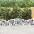vidaXL, vidaXL Gabione mit Hochbogen 200x30x40/60 cm Verzinktes Eisen