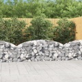 vidaXL, vidaXL Gabione mit Hochbogen 200x30x60/80 cm Verzinktes Eisen