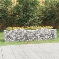 vidaXL, vidaXL Gabionen-Hochbeet mit Hochbogen 200x50x50 cm Verzinktes Eisen