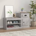 vidaXL, vidaXL Schuhschrank Betongrau 100x42x60 cm Holzwerkstoff