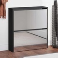 vidaXL, vidaXL Schuhschrank mit Spiegel 2 Fächer Schwarz 63x17x67 cm