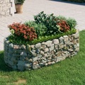 vidaXL, vidaXL Gabionen-Hochbeet Verzinktes Eisen 200x100x50 cm