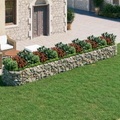 vidaXL, vidaXL Gabionen-Hochbeet Verzinktes Eisen 600x100x50 cm