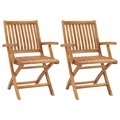 vidaXL, vidaXL Klappbare Gartenstühle 2 Stk. Massivholz Teak