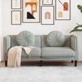 vidaXL, vidaXL Sofa mit Kissen 2-Sitzer Hellgrau Samt