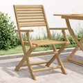 vidaXL, vidaXL Gartenstühle 2 Stk. Klappbar 54,5x61,5x86,5cm Massivholz Akazie