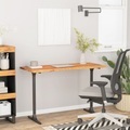 vidaXL, vidaXL Schreibtischplatte 120x50x2,5 cm Rechteckig Massivholz Akazie