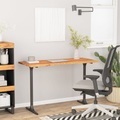 vidaXL, vidaXL Schreibtischplatte 140x60x2,5 cm Rechteckig Massivholz Akazie