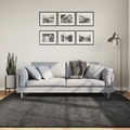 vidaXL, vidaXL Teppich Shaggy Hochflor Modern Anthrazit 200x200 cm