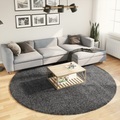vidaXL, vidaXL Teppich OVIEDO Kurzflor Anthrazit Ø 240 cm