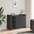 vidaXL, vidaXL Sideboard Schwarz 100x35x75 cm Holzwerkstoff