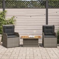 vidaXL, vidaXL 3-tlg. Garten-Lounge-Set mit Kissen Grau Poly Rattan