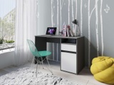 HOME AFFAIRE, Home affaire Schreibtisch »Tinsley« mit Schublade, und Tür, Breite 120 x53 cm
