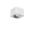 QAZQA, Moderner Fleck weiß 12,5 cm - Boxer