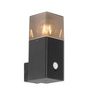 QAZQA, Buitenwandlamp zwart met smoke kap bewegingsmelder - Denmark