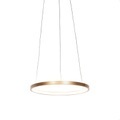 Leuchten Direct, Moderne Ring Hängelampe Gold 40 cm inkl. LED - Anella