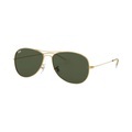 Ray-Ban, Ray-Ban Cockpit RB 3362 001
