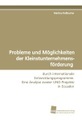 undefined, Probleme und Möglichkeiten der Kleinstunternehmensförderung
