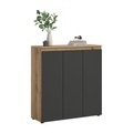 Livetastic, Schuhschrank Scarpa 105/111/37 cm