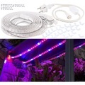 Lunartec, Lunartec 9 Meter LED-Pflanzen-Wachstums-Streifen, rot & blau, mit Netzteil