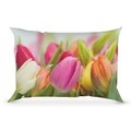 undefined, Designer-Bettwäsche Tulpe, Kissenbezug 65x100 cm