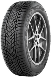 Cooper Winter ( 215/65 R17 99V EVR )