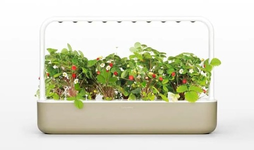Click and Grow, Click and Grow Click and Grow Kr?utertopf Smart, Click and Grow Kräutertopf »Smart Garden 9 Beige«