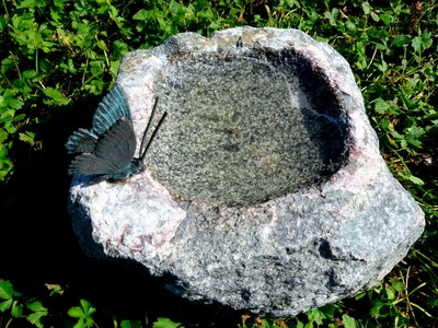 undefined, Schmetterling Vogeltränke, 