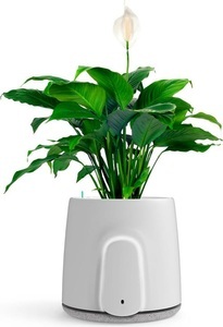 Vitesy, Vitesy Natede Smart Luftreiniger, 