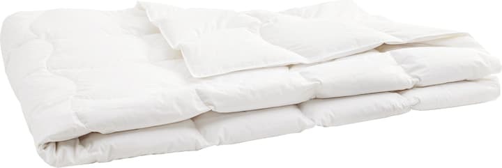 Micasa, Extraleichtes hochwertiges Duvet mit 90% Gänsedaunen und Milbenschutz SANADAUN light, Micasa, Daunen/Gänsedaunen-Duvet SANADAUN light