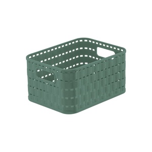 Rotho, Rotho Korb , 1166705092 , Mintgrün , 003294002002, Rotho Korb , 1166705092 , Mintgrün , Kunststoff , 18.3x13.7x9.8 cm , 003294002002