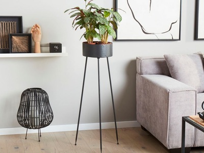 Beliani, Beliani Leika Pflanzenständer, Beliani - Pflanzenständer aus Eisen Modern LEIKA, One Size, Schwarz