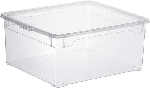 Rotho, Rotho Clearbox MenShoe 10 l Aufbewahrungsbox, 