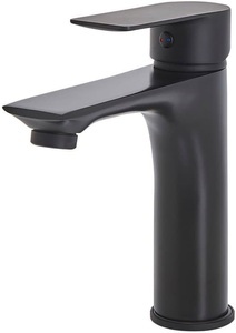 Beliani, Beliani Wasserhahn Einhandmischer Messing schwarz BERLOI Waschtischarmatur, Beliani - Spülbeckenhahn aus Messing Modern BERLOI, One Size, Schwarz