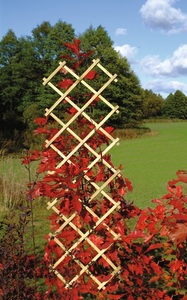Do it + Garden, Scherengitter Rankgitter + Spalier, Scherengitter Rankgitter + Spalier