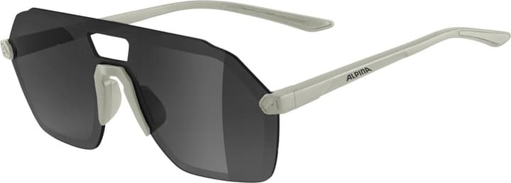 Alpina, Alpina Beam I Sonnenbrille grau 2022 Sonnenbrillen, Alpina Beam I Sportbrille grau