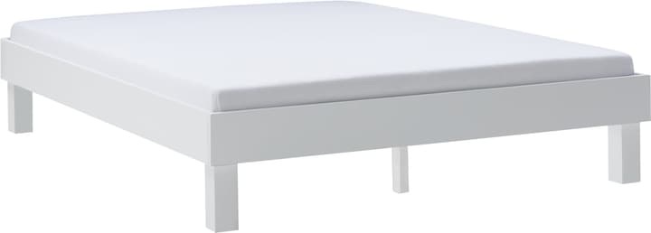 Micasa, Bett CARA, Micasa, Bett CARA