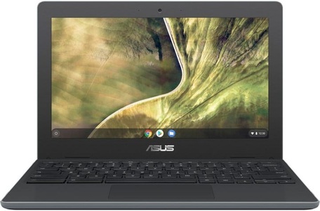 Asus, Asus Chromebook C204Ma-Gj0243 Notebook, 
