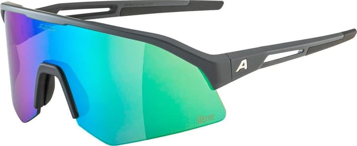 Alpina Sonic HR Q-Lite Sportbrille grau