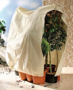 Bio Green, Jumbo Kübelpflanzen Sack, 240 x 200 cm - Schutz im Winter bei Frost, Kübelpflanzen-Sack Jumbo