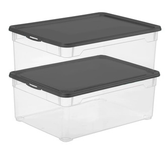Rotho, Rotho Clear Men Shoe 10 l mit Deckel, 2er-Set Aufbewahrungsbox, 