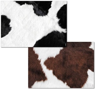 undefined, Papiertischset Mooh, trendform - Papiertischset MOOH 2 Sujets à 25 Blatt, One Size, Schwarz