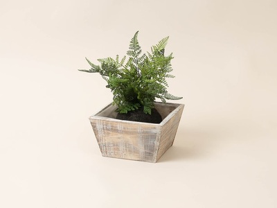 I am Creative, I Am Creative - Blumentopf 20 x 20 x 11 cm, 