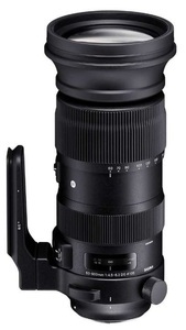 Sigma, Sigma 60-600mm 4.5-6.3 DG OS HSM Canon Objektiv, Sigma Zoomobjektiv 60-600mm F/4.5-6.3 DG OS HSM Sports Canon EF
